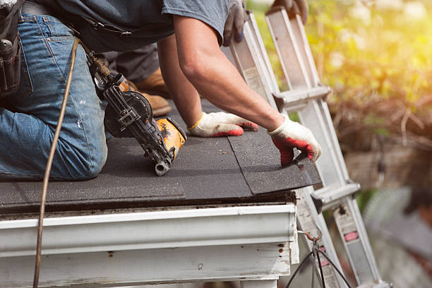 Best Roof Gutter Cleaning  in Totowa, NJ